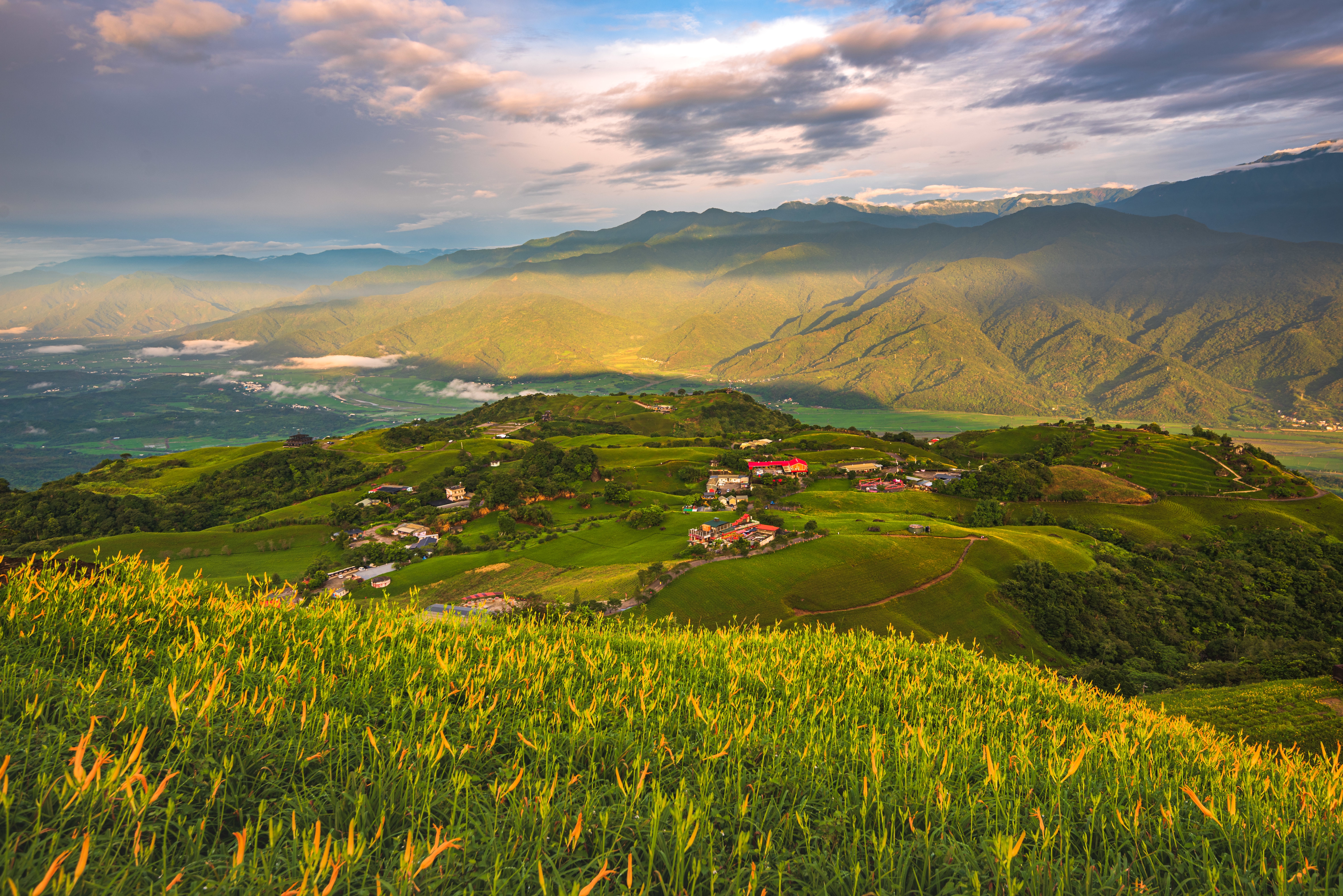 A beautiful shot of a green field with village houses on the background